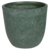 Bloempot Arizona Egg Cypress Wash - D25 X H25cm - Groen -Natur Bloemen Winkel arizona egg pot cypress wash d25h25 bloempot 1 8
