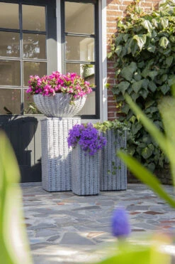 Plantenschaal Arkansas - D36 X H16.5cm - Lichtgrijs -Natur Bloemen Winkel arkansas bowl low washed grey d36h165 bloempot 7 9