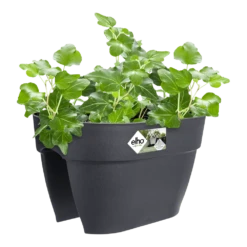Elho Balkonbak Vibia Campana Bridge 40cm - Antraciet -Natur Bloemen Winkel balkonbak vibia campana bridge 40cm antraciet balkonbak antraciet 3 1