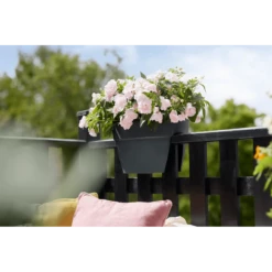 Elho Balkonbak Vibia Campana Bridge 40cm - Antraciet -Natur Bloemen Winkel balkonbak vibia campana bridge 40cm antraciet balkonbak antraciet 5 1