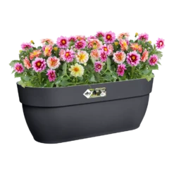 Elho Balkonbak Vibia Campana Easy Hanger Large - Antraciet -Natur Bloemen Winkel balkonbak vibia campana easy hanger large antraciet balkonbak antraciet 4 1
