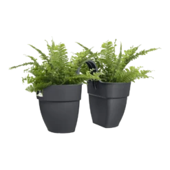 Elho Balkonbak Vibia Campana Twin 21cm - Antraciet 10 Elho Balkonbak Vibia Campana Twin 21cm - Antraciet -Natur Bloemen Winkel balkonbak vibia campana twin 21cm antraciet balkonbak antraciet 3 1