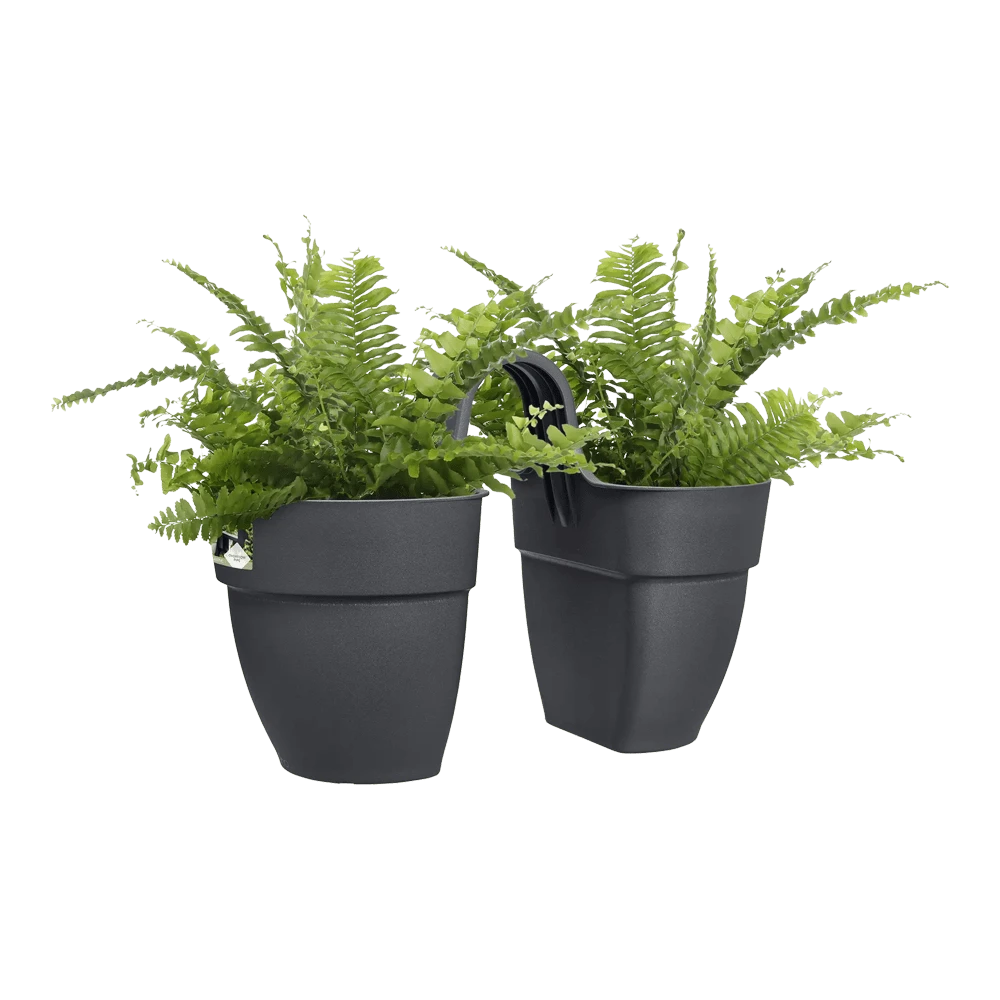 Elho Balkonbak Vibia Campana Twin 21cm - Antraciet 5 Elho Balkonbak Vibia Campana Twin 21cm - Antraciet - Afbeelding 3