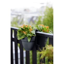 Elho Balkonbak Vibia Campana Twin 21cm - Antraciet 12 Elho Balkonbak Vibia Campana Twin 21cm - Antraciet -Natur Bloemen Winkel balkonbak vibia campana twin 21cm antraciet balkonbak antraciet 5 1