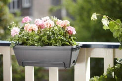 Balkonbak Elho Barcelona Allin 1 50cm - Antraciet 9 Balkonbak Elho Barcelona Allin 1 50cm - Antraciet -Natur Bloemen Winkel barcelona allin1 50cm plantenbak antraciet 7 18