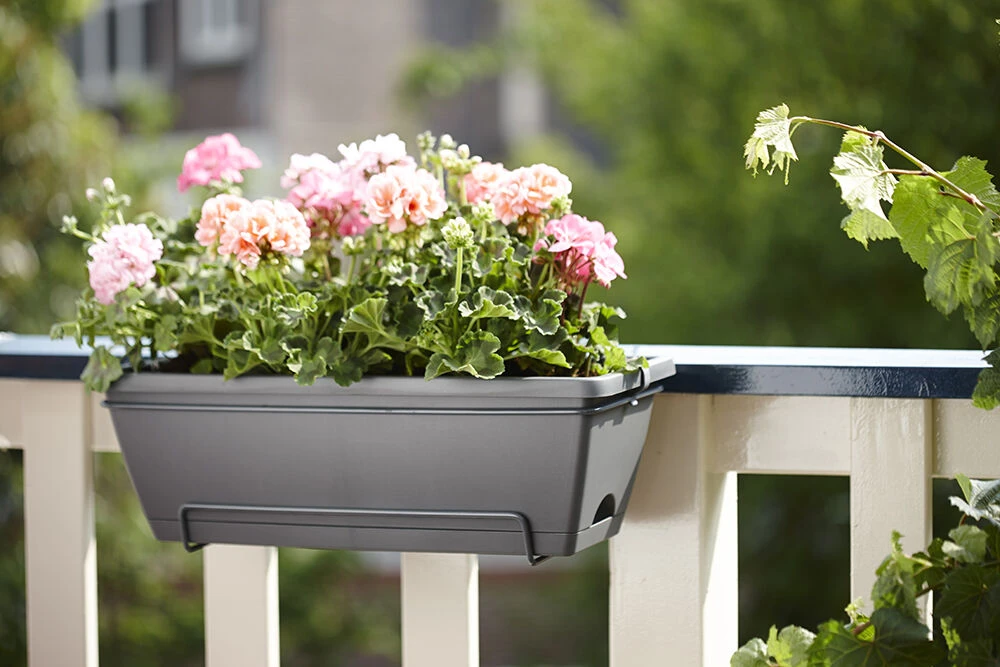 Balkonbak Elho Barcelona Allin 1 50cm - Antraciet 6 Balkonbak Elho Barcelona Allin 1 50cm - Antraciet - Afbeelding 4