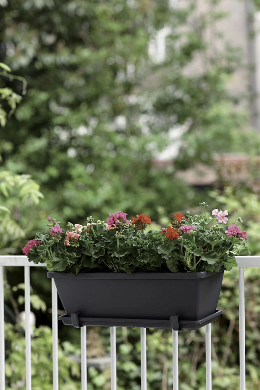 Natur Bloemen Winkel 20 Natur Bloemen Winkel -Natur Bloemen Winkel barcelona balkonbak 90cm plantenbak antraciet 6 22