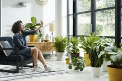 Bloempot Elho B.for Original Rond 25cm - Wit -Natur Bloemen Winkel bfor original rond 25cm bloempot wit 6 17