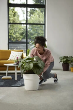 Bloempot Elho B.for Original Rond 25cm - Wit -Natur Bloemen Winkel bfor original rond 25cm bloempot wit 7 17