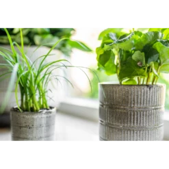 Bloempot Denise - D17 X H17cm - Off White 7 Bloempot Denise - D17 X H17cm - Off White -Natur Bloemen Winkel bloempot denise d17 x h17cm off white bloempot 3