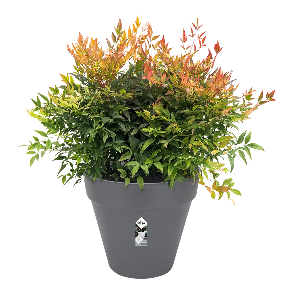 Bloempot Elho Loft Urban Rond 40cm - Antraciet 5 Bloempot Elho Loft Urban Rond 40cm - Antraciet - Afbeelding 3