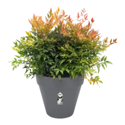 Bloempot Elho Loft Urban Rond 60cm - Antraciet -Natur Bloemen Winkel bloempot elho loft urban rond antraciet bloempot antraciet 3 2
