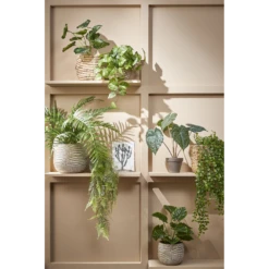 Bloempot Hendrick - D21,5 X H19cm - Creme -Natur Bloemen Winkel bloempot hendrick d21 5 x h19cm creme bloempot 3 1