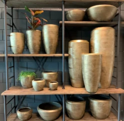 Plantenschaal Kos - D55 X H22cm - Goud -Natur Bloemen Winkel bloempot kos serie goud bloempot 3 1 7