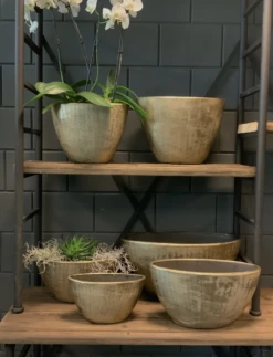 Bloempot Kos Ovaal - L49 X B21 X H37cm - Goud -Natur Bloemen Winkel bloempot kos serie ovaal goud bloempot 3 1 1