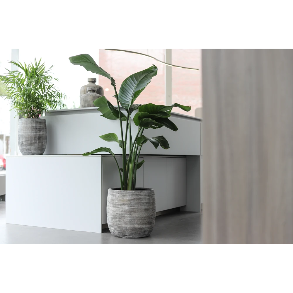 Bloempot Miami - D33 X H31cm - Zwart Cement 4 Bloempot Miami - D33 X H31cm - Zwart Cement - Afbeelding 2