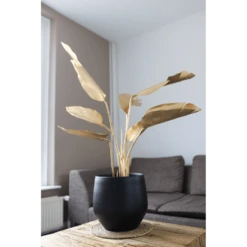 Bloempot Petra - D27 X H24cm - Mat Zwart 7 Bloempot Petra - D27 X H24cm - Mat Zwart -Natur Bloemen Winkel bloempot petra mat zwart 2 1