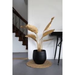 Bloempot Petra - D27 X H24cm - Mat Zwart 8 Bloempot Petra - D27 X H24cm - Mat Zwart -Natur Bloemen Winkel bloempot petra mat zwart 3 1