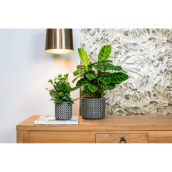 Bloempot Thies - D19 X H17cm - Antraciet -Natur Bloemen Winkel bloempot thies antraciet bloempot 2