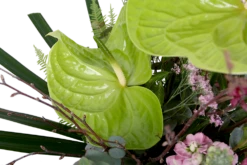 Boeket Anthurium Groot 11 Boeket Anthurium Groot -Natur Bloemen Winkel boeket anthurium boeketten 4 2