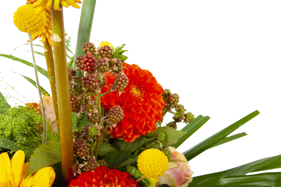 Boeket Beatrix Klein 5 Boeket Beatrix Klein - Afbeelding 3