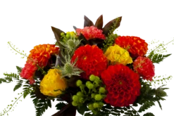 Boeket Dahlia Groot 10 Boeket Dahlia Groot -Natur Bloemen Winkel boeket dahlia boeketten 3 3 1