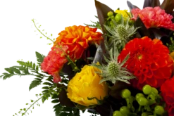 Boeket Dahlia Groot 11 Boeket Dahlia Groot -Natur Bloemen Winkel boeket dahlia boeketten 4 3 1