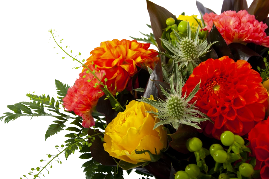 Boeket Dahlia Groot 6 Boeket Dahlia Groot - Afbeelding 4