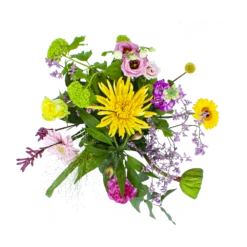 Natur Bloemen Winkel 13 Natur Bloemen Winkel -Natur Bloemen Winkel boeket eline boeketten 2 1