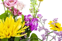 Boeket Eline Middel -Natur Bloemen Winkel boeket eline boeketten 3 1