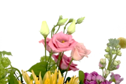 Boeket Eline Klein -Natur Bloemen Winkel boeket eline boeketten 4