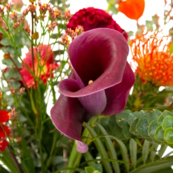 Boeket Herfst Warmte Klein 11 Boeket Herfst Warmte Klein -Natur Bloemen Winkel boeket herfst warmte klein boeketten 4