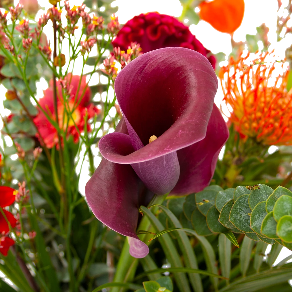 Boeket Herfst Warmte Klein 6 Boeket Herfst Warmte Klein - Afbeelding 4