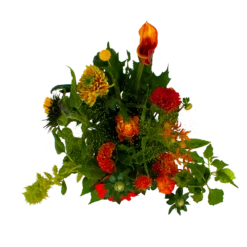 Boeket Herfst Uit Het Veld Klein 9 Boeket Herfst Uit Het Veld Klein -Natur Bloemen Winkel boeket herst uit het veld klein boeketten 2 1