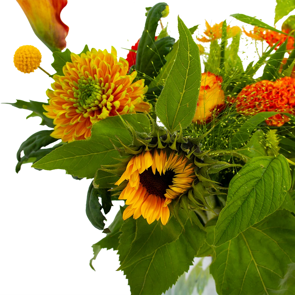 Boeket Herfst Uit Het Veld Klein 6 Boeket Herfst Uit Het Veld Klein - Afbeelding 4