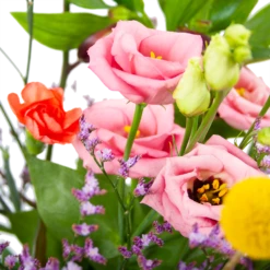 Boeket Kleurrijk Geplukt Klein -Natur Bloemen Winkel boeket kleurrijk geplukt boeketten 3 1