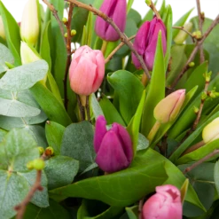 Boeket Kleurrijke Tulp Groot -Natur Bloemen Winkel boeket kleurrijke tulp boeketten 3
