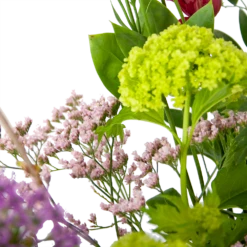 Natur Bloemen Winkel 17 Natur Bloemen Winkel -Natur Bloemen Winkel boeket kleurrijke verrassing boeketten 2