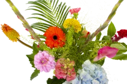 Boeket Lach Groot -Natur Bloemen Winkel boeket lach boeketten 3 1 1