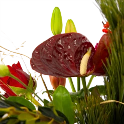 Boeket Liefdevolle Kerst Middel -Natur Bloemen Winkel boeket liefdevolle kerst boeketten 4 1 1