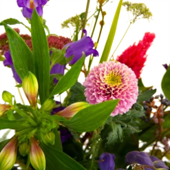 Boeket Paarse Passie Klein 11 Boeket Paarse Passie Klein -Natur Bloemen Winkel boeket paarse passie klein boeketten 4