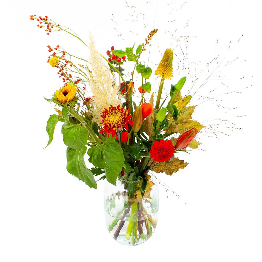 Boeket Pluim Van Het Najaar Groot 3 Boeket Pluim Van Het Najaar Groot