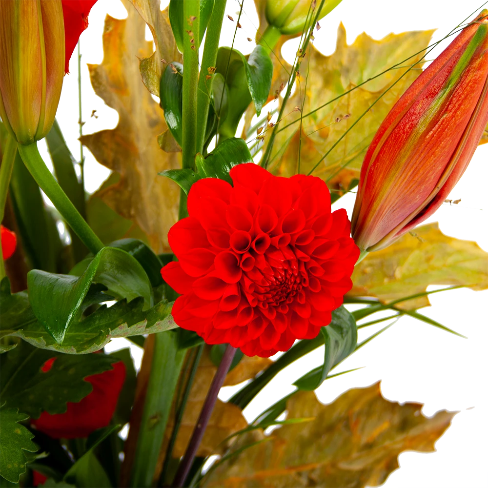 Boeket Pluim Van Het Najaar Groot 5 Boeket Pluim Van Het Najaar Groot - Afbeelding 3