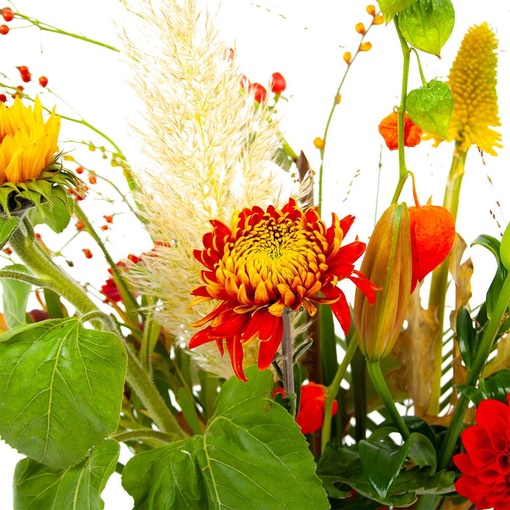 Boeket Pluim Van Het Najaar Groot 6 Boeket Pluim Van Het Najaar Groot - Afbeelding 4