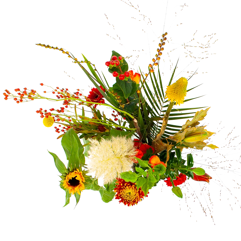 Boeket Pluim Van Het Najaar Klein 4 Boeket Pluim Van Het Najaar Klein - Afbeelding 2