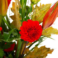 Boeket Pluim Van Het Najaar Klein 10 Boeket Pluim Van Het Najaar Klein -Natur Bloemen Winkel boeket pluim van het najaar klein boeketten 3