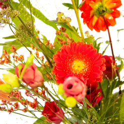 Boeket Plukgeluk Groot 10 Boeket Plukgeluk Groot -Natur Bloemen Winkel boeket plukgeluk groot boeketten 3