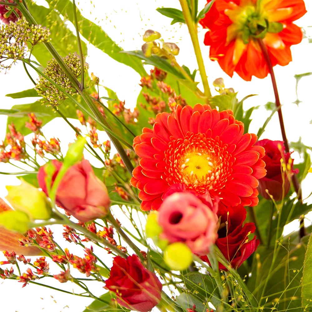 Boeket Plukgeluk Klein 5 Boeket Plukgeluk Klein - Afbeelding 3