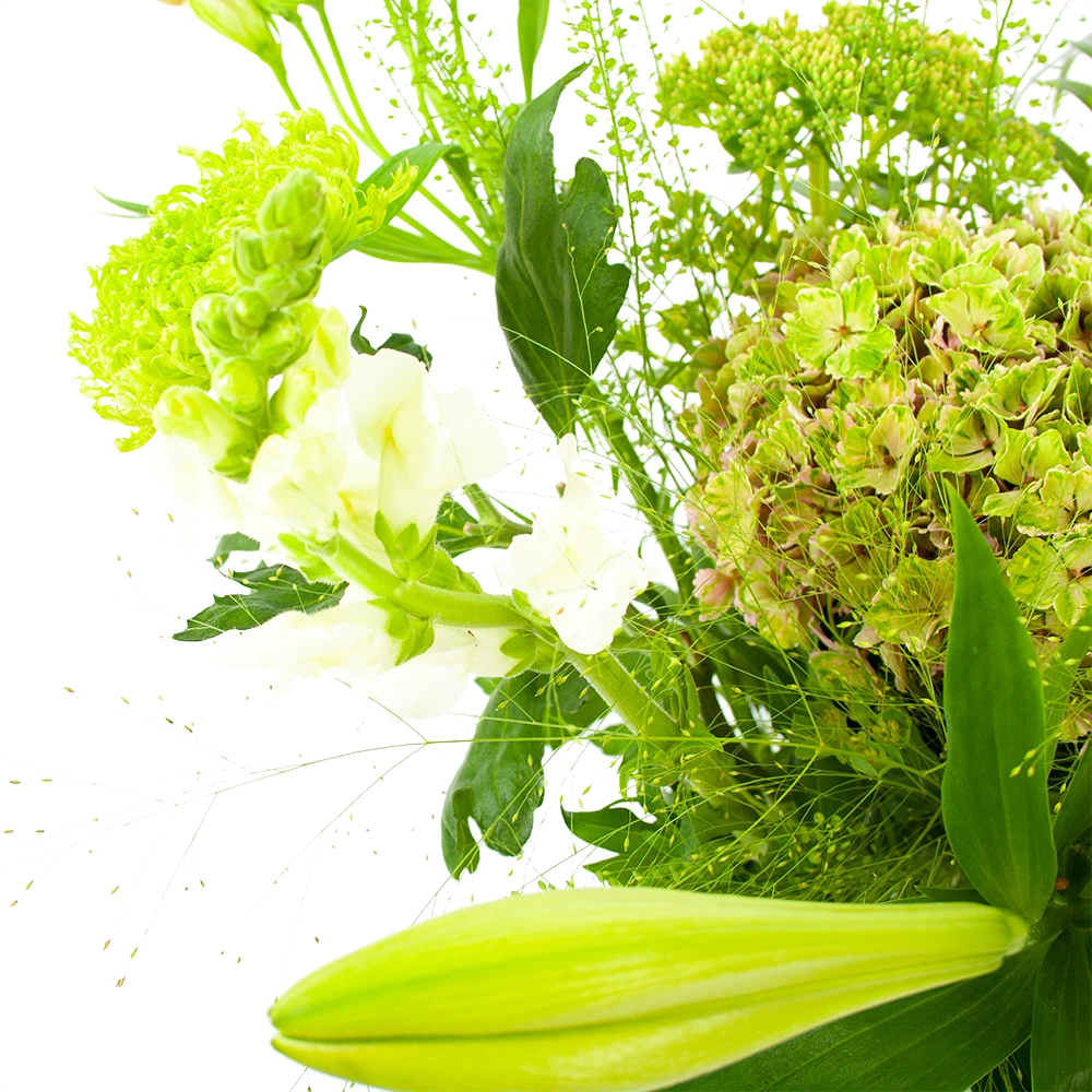 Boeket Puur Natuur Groot 5 Boeket Puur Natuur Groot - Afbeelding 3