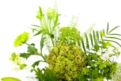 Boeket Puur Natuur Klein 11 Boeket Puur Natuur Klein -Natur Bloemen Winkel boeket puur natuur boeketten 4 1 1